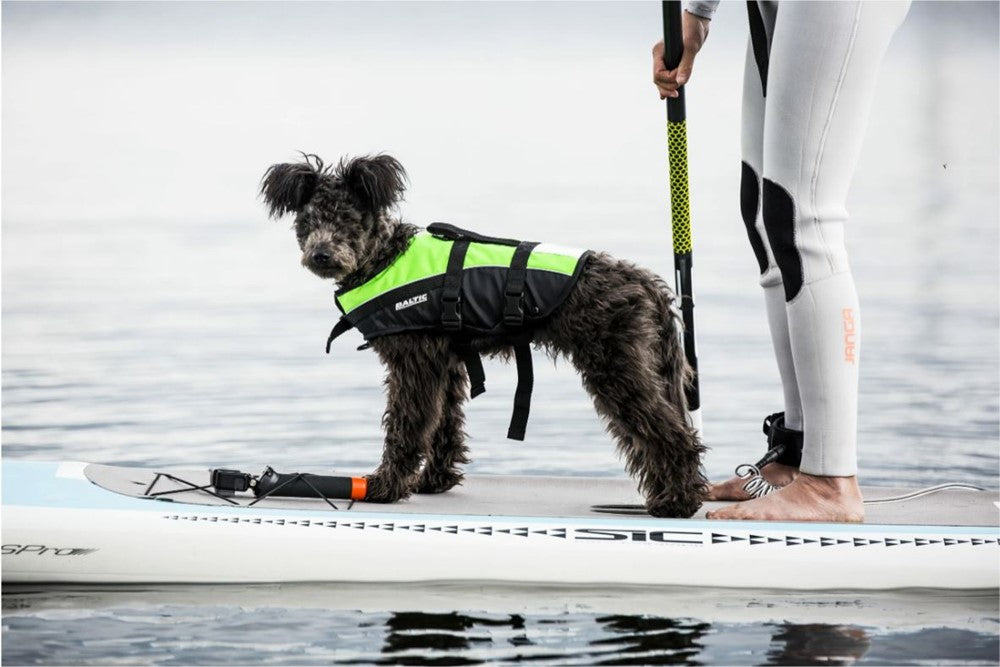 hundlytvast mascot pet