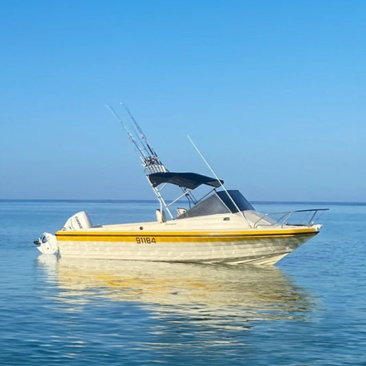 Robust Bimini package - powerboats